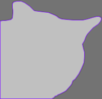 cat-seg Instance Segmentation Dataset by METAJM