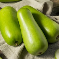 bottle gourd detection project thumbnail