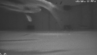 add_pool_night project thumbnail