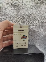 Dataset Image