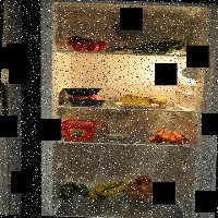 Dataset Image