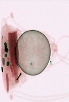 TongjiUni project thumbnail