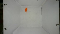 Rubbish_congnition project thumbnail