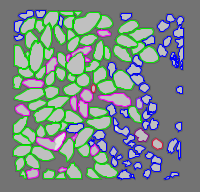 Annotation Visualization