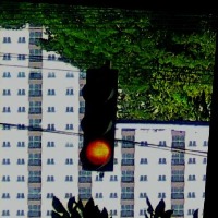 dataset_traffic_light_red project thumbnail