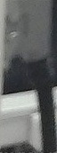 elc object detection project thumbnail