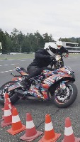 Dataset Image