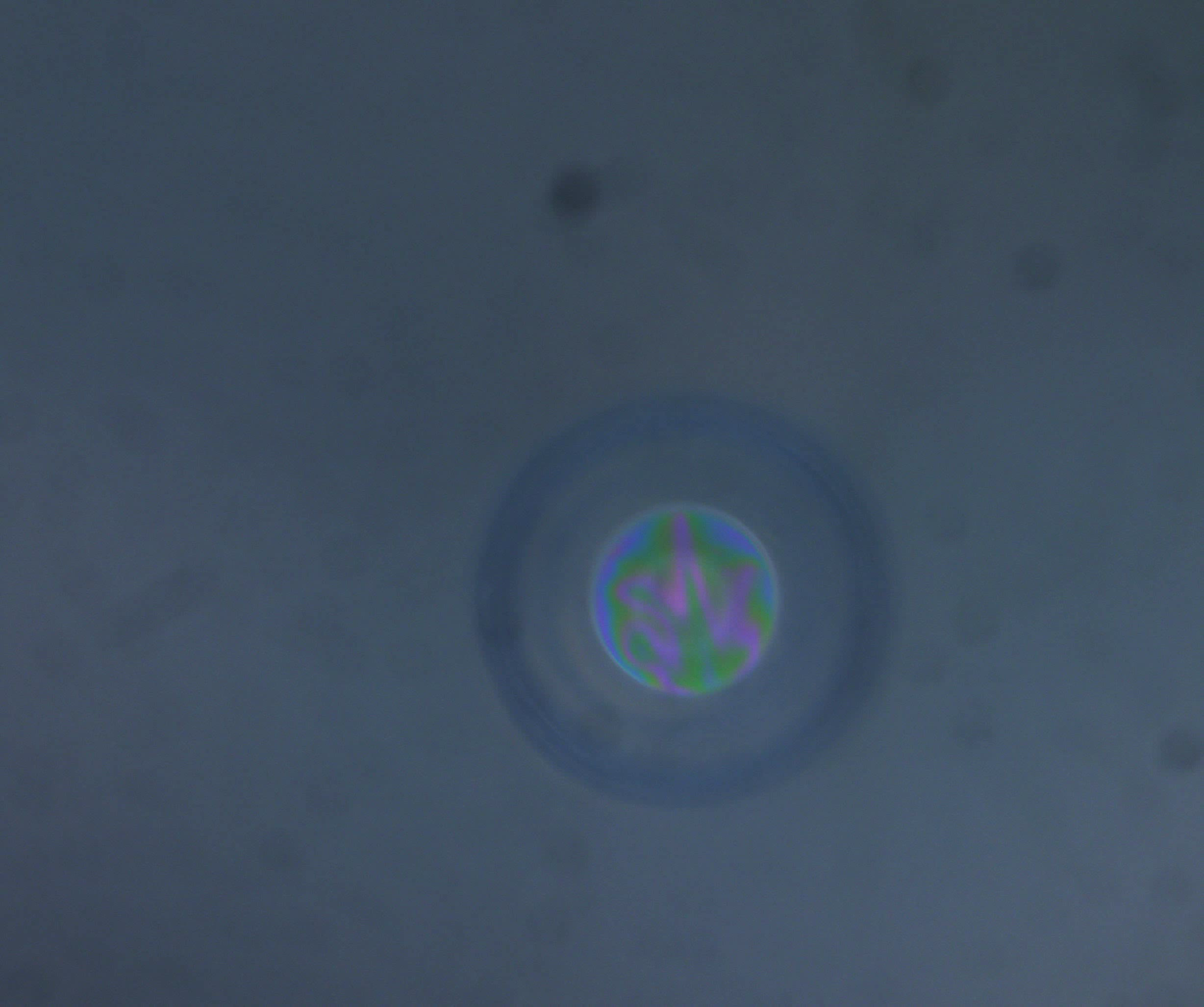 Bubbles Object Detection Model by HSEye