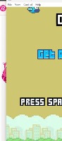 flappy project thumbnail
