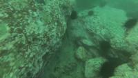 Underwater Object Detection project thumbnail