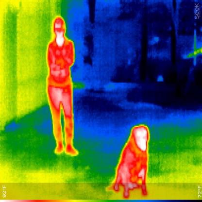 pedestrian detection Object Detection Dataset and Pre-Trained Model by ...