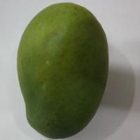 MANGGA project thumbnail