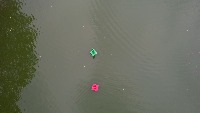 Dataset Image