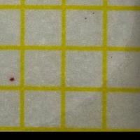 Object Detection333 project thumbnail