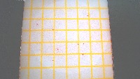 colony project thumbnail