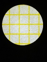 Petrifilm project thumbnail