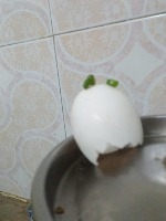 Waste Segregation project thumbnail