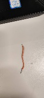 Wire project thumbnail