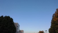 bird detection project thumbnail