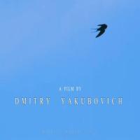 Bird Detection Merged project thumbnail