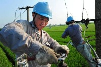 Hard Hats project thumbnail