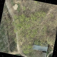 Dataset Image
