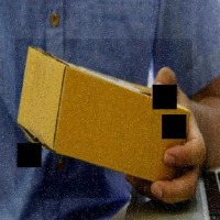 Dataset Image