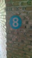 yolov12 project thumbnail