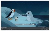 puffin project thumbnail