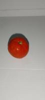 tomato detection 1 project thumbnail