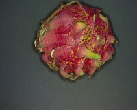 Dragon Fruit project thumbnail