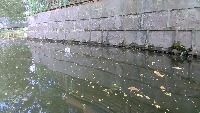 waste project thumbnail