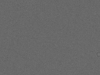 EmptyFrameScreening project thumbnail