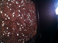 Microgreen Growth Stage Detector project thumbnail