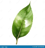 plant project thumbnail