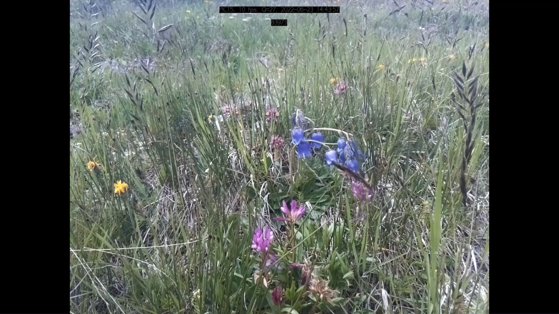 Tool-Explore Object Detection Dataset by ToolExplore