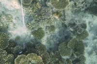 Transects project thumbnail