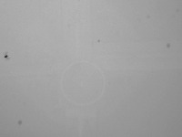 Fly detection project thumbnail
