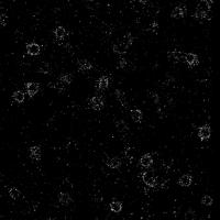 QFM Septin project thumbnail