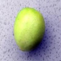 fruit dataset project thumbnail