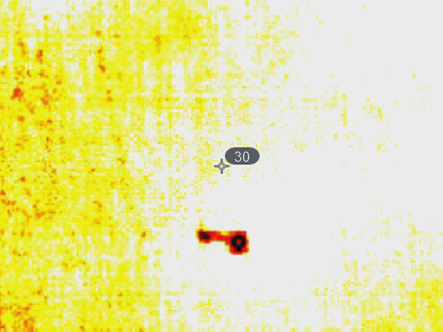 Small objects Object Detection Model by Amity university