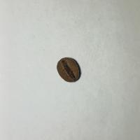 Roasted Coffee Beanv2 project thumbnail