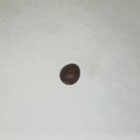Roasted Coffee Bean project thumbnail