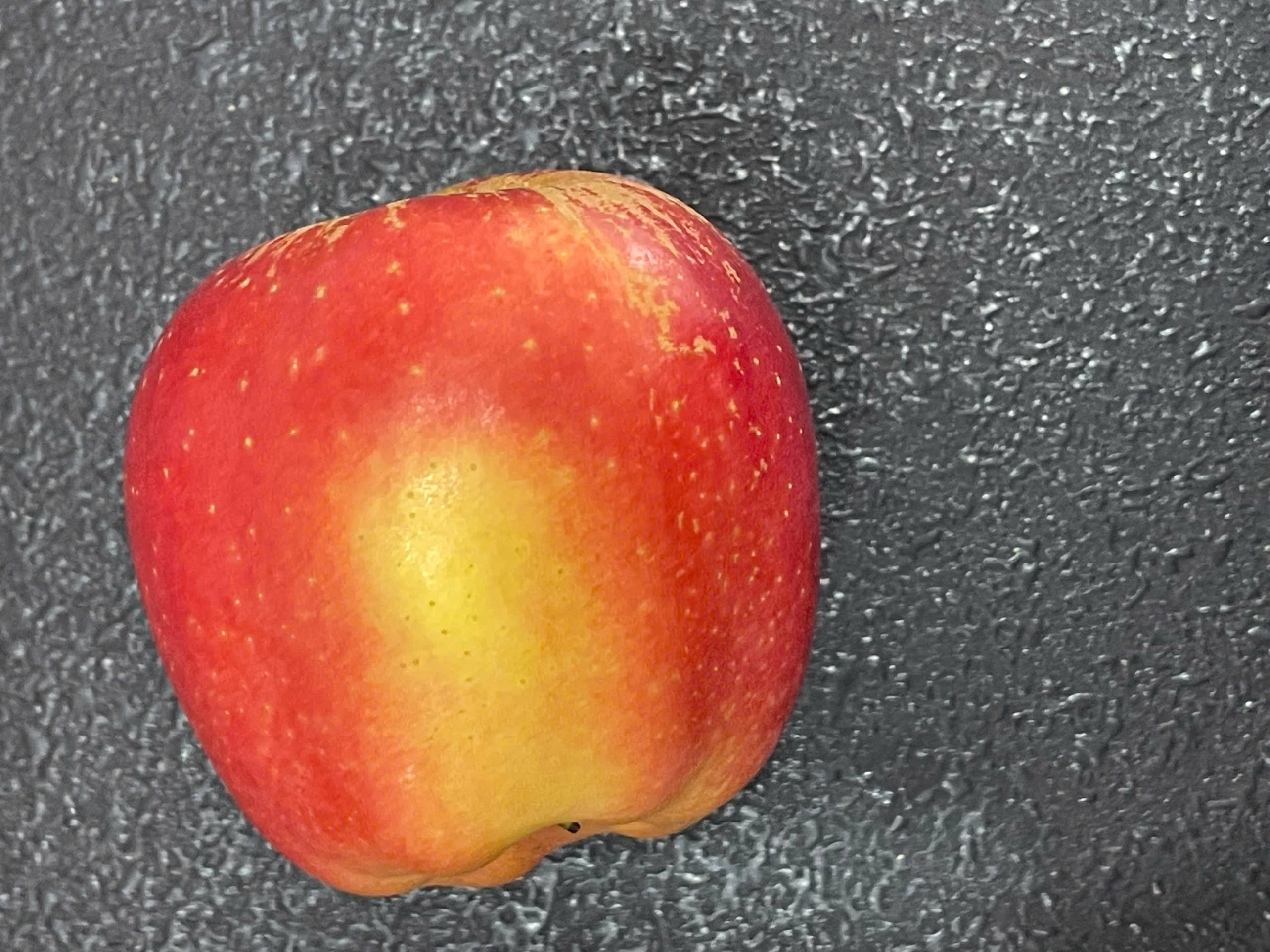 Apple Object Detection Dataset by Pht hin i tng tri cy li trn bng truyn