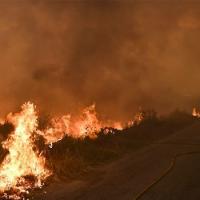 Forest_Fire project thumbnail