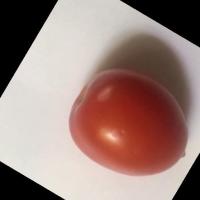 Spoilage Detection project thumbnail