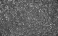Esyb15mm3080010JPG192.168.8.45-2 project thumbnail