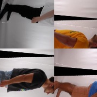 Dataset Image