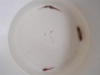 Catfish Counter project thumbnail