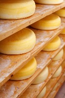 Cheese project thumbnail